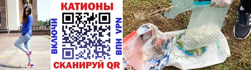Какие есть наркотики Зеленоградск ГАШИШ  Кокаин  МЕТАМФЕТАМИН  Меф мяу мяу 